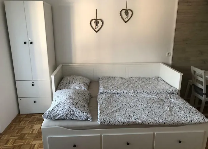 Apartma Vintage * 보히니